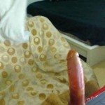 Fuck herself live fun donashton