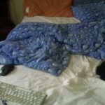 Click to watch me squirt hardontime9