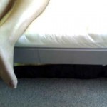 Click here to see me squirt iamvan24