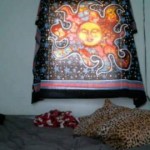 Spread her pussy live fun indigostarr