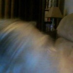 I’m wet now johnny_stud_stacey_payne