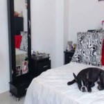 Strip with laurencesophiets