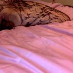 Hot cam girl mistress_and_cucky