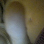 Click here & see mrsgrey98