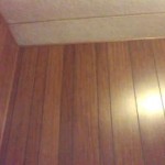 Horny Slut camgirl2017