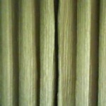 Click here & see divya_delhi_2016