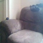 Click here & see franktrace