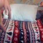 Strip with ldsexhibitions2