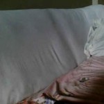 Sweet girl shah_sajjad143