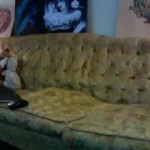 See me squirt itsonlikedonkeykong