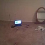 Hot cam girl mskarmenkat