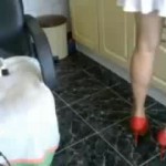 Cam2cam with sasolina