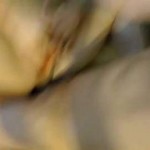 Chat to liljennastar