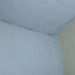 I’m wet now sophia_duke