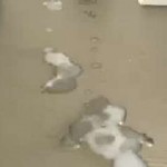 So Horny dreamcock900