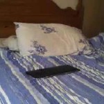 Strip with purepanic