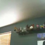 Cyber girl snakedoctorxx1979