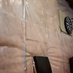 Toying coupleoffantastics