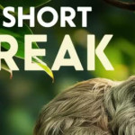 1 on 1 sex with nephew_p